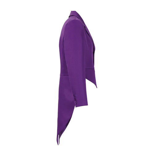 Purple Villain Mayor Costume Jacket Mustache Tailcoat for Men with Beard